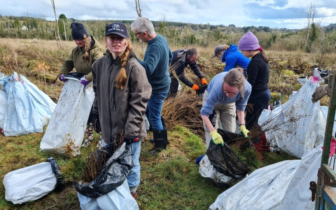 Coill Chormaic: A Community-Driven Model for Sustainable Forestry (Case Study) 