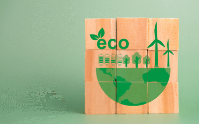 From Small Wins to a Community Energy Pipeline: GreenPlan Mulranny (Case Study)