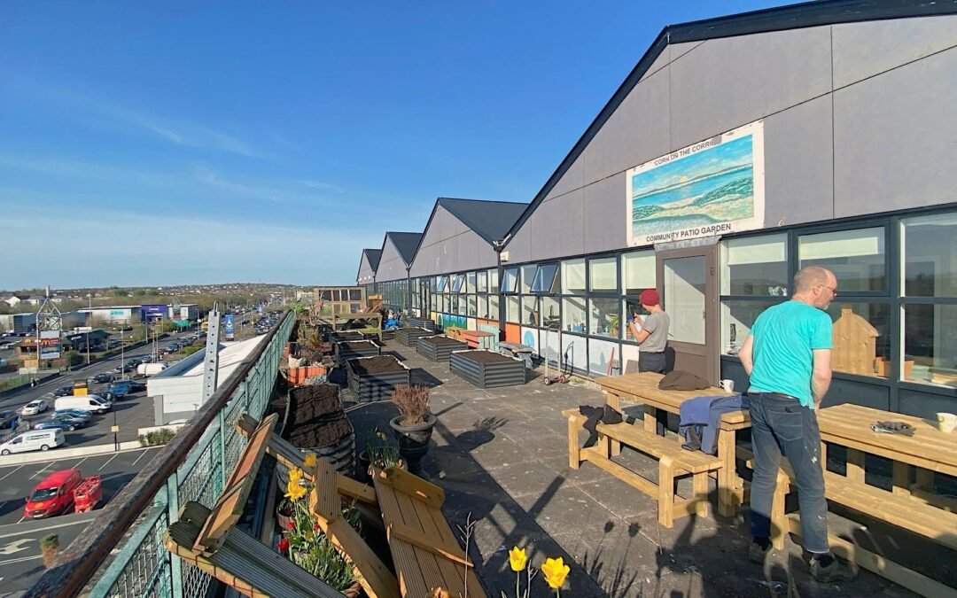 Hinterland West – making links along the food chain