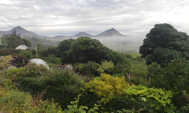 OURganic Gardens – a smallholding with big lessons