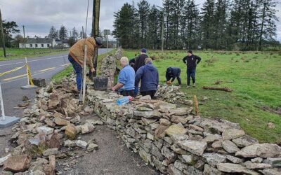 Farming Rathcroghan Scheme – Sustainable Farming in the Rathcroghan Archaeological Landscape