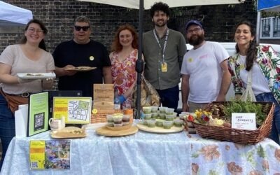 Taplin’s Fields (Bridgefoot Street Park Community Garden) – from wasteland to garden