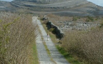 Burrenbeo Trust