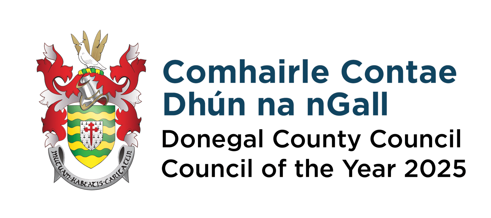 Dcc Council Of The Year 2025