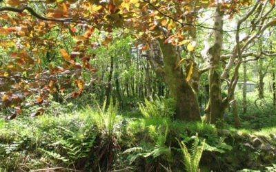 Kerry Earth Education Project’ (KEEP)