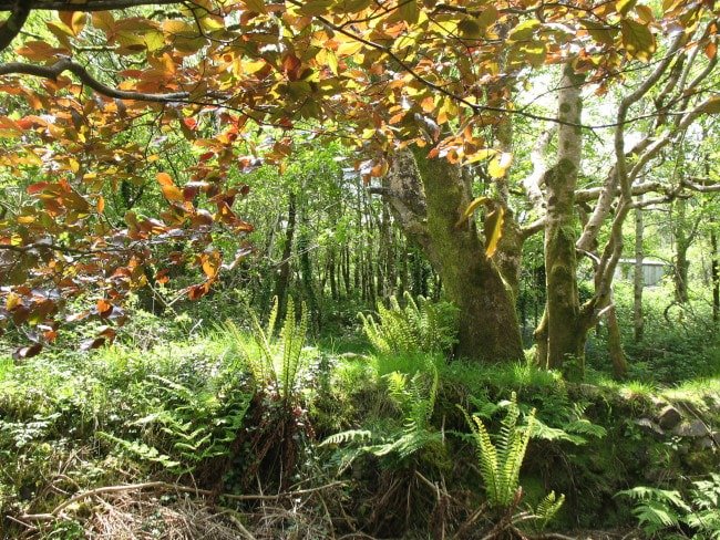 Kerry Earth Education Project’ (KEEP)