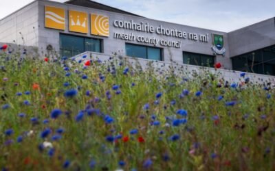County Meath’s Decarbonization Zones (DZs)