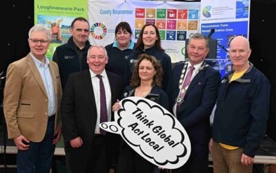 Roscommon Town Decarbonising Zone (DZ)