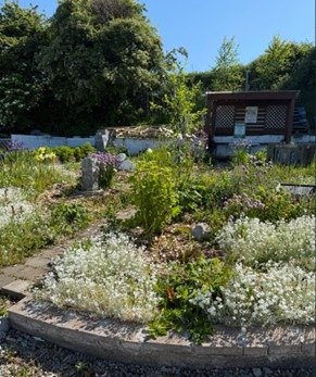 Cavan Community Gardens