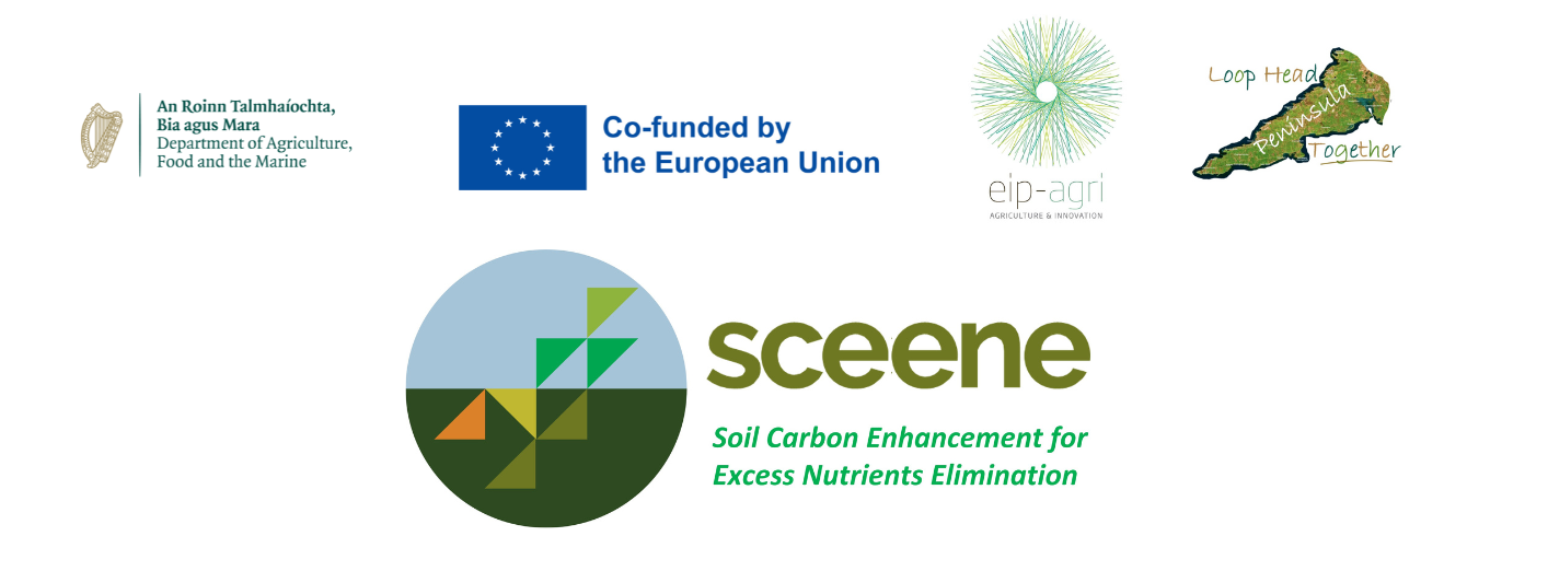 SCEENE+LOGO+SAMPLE+1